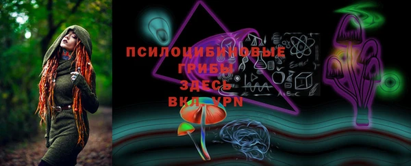 ешки Кодинск