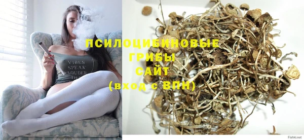 PSILOCYBIN Козельск