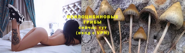 ешки Кодинск