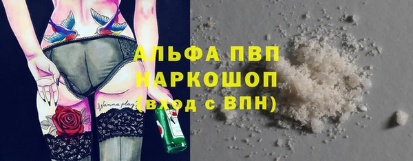 PSILOCYBIN Козельск