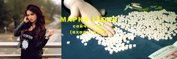PSILOCYBIN Козельск