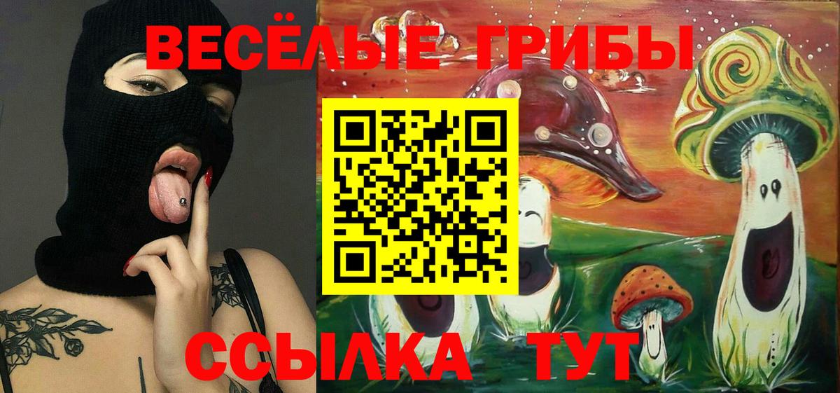 Нижний Новгород  Псилоцибиновые грибы прущие грибы  Вход с VPN 
